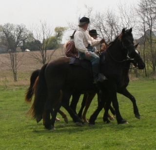 The mounts learn to walk in line